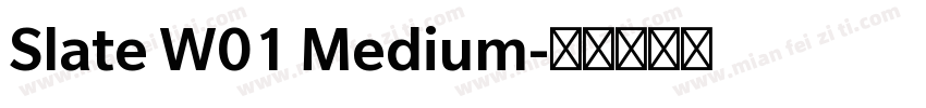 Slate W01 Medium字体转换